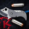 Spyderco Pochi Folding Knife Titanium 1.58" S45VN Satin Clip Point C256TIP -Best Knifes Shop C258TIP 27172.1668124344