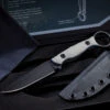 Toor Knives Anaconda Fixed Blade Knife Stealth Grey G10 3.75" Black Drop Point -Best Knifes Shop img 5773 edit 70695.1637534615.386.513 85998.1644858944.386.513 70433.1650580586